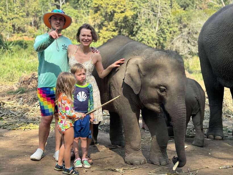 Chiang Mai: Elephant Sanctuary Feeding Program Half-Day Tour - Feeding Napier grass, sugarcane, and bananas close-up
