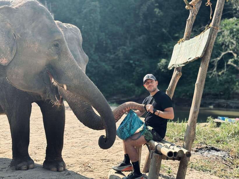 Chiang Mai: Elephant Sanctuary Feeding Program Half-Day Tour - Logistics that actually matter on the day
