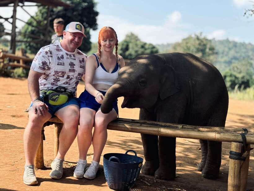 Chiang Mai: Elephant Sanctuary Feeding Program Half-Day Tour - Meeting the team: behavior rules that keep things safe