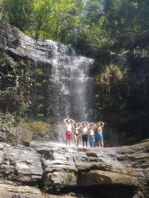 Chiang Mai: Elephant Sanctuary & Jungle Trek w/ Waterfall - Key things I would prioritize on this tour