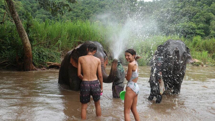 Chiang Mai: Elephant Sanctuary & Jungle Trek w/ Waterfall - Should you book it? My practical take