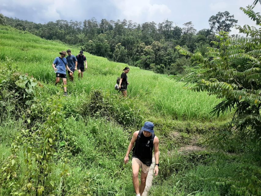 Chiang Mai: Elephant Sanctuary & Jungle Trek w/ Waterfall - Getting to Mae Wang: the road time that sets the day up