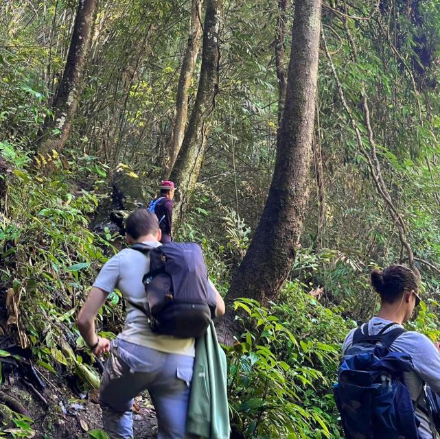 Chiang Mai: Elephant Sanctuary & Jungle Trek w/ Waterfall - Shan Village lunch and culture walk: simple, local, and filling