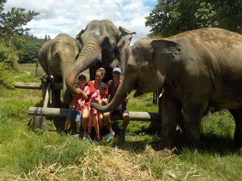Chiang Mai: Elephant Sanctuary Local Hill Tribe Caretakers - Entering the sanctuary mission, meeting the elephants, and learning the care routine