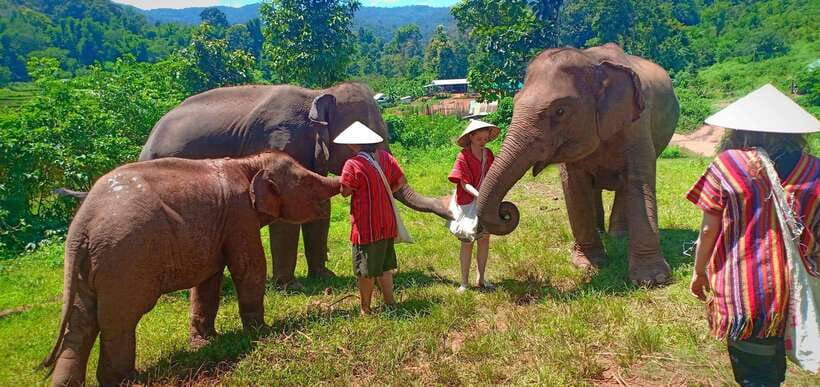 Chiang Mai: Elephant Sanctuary Local Hill Tribe Caretakers - The Mae Wang River bath, what you will actually do, and how to prepare