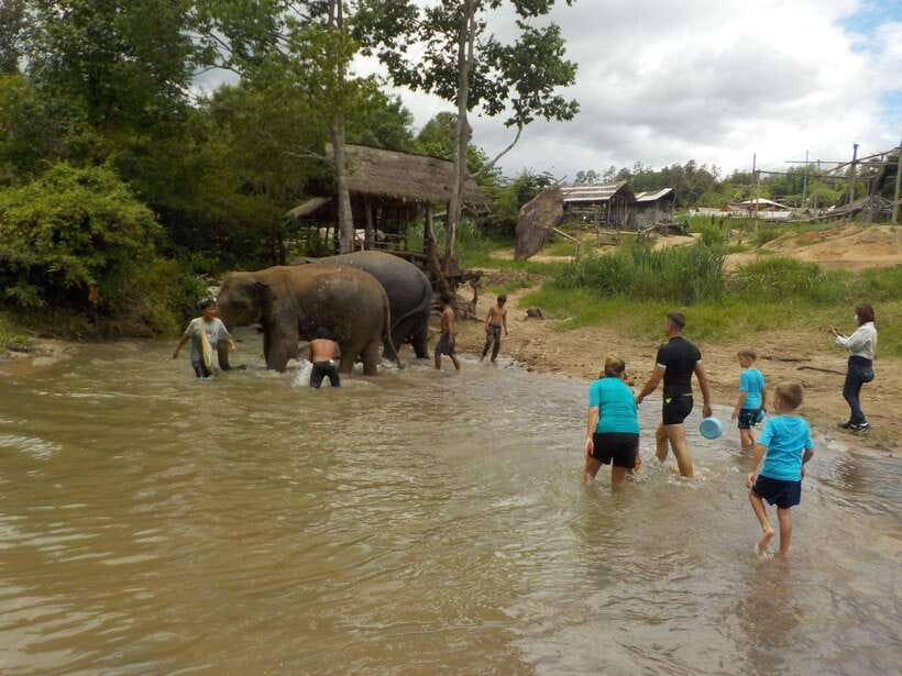 Chiang Mai: Elephant Sanctuary Local Hill Tribe Caretakers - Lunch at the sanctuary, simple Thai food, no rush feeling
