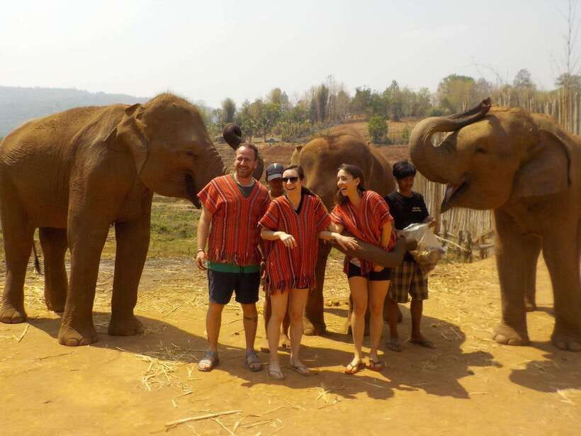 Chiang Mai: Elephant Sanctuary Local Hill Tribe Caretakers - The Mae Wang Waterfall hike: one hour of forest time, not a marathon