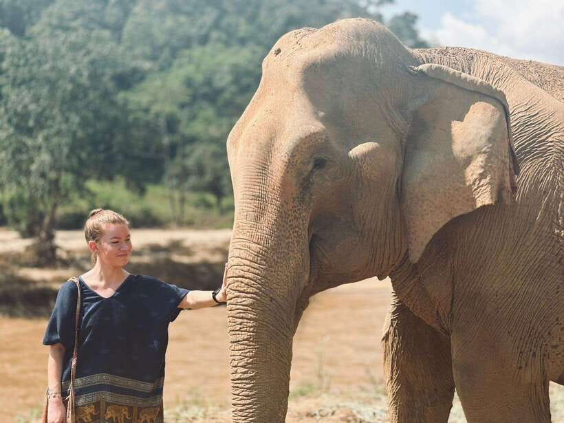 Chiang Mai: Elephant Sanctuary, Long Neck & Sticky Waterfall - Key Highlights Worth Your Time