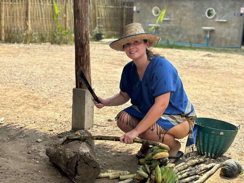 Chiang Mai: Elephant Sanctuary, Long Neck & Sticky Waterfall - Lunch With Real Thai Flavor, Plus Snacks and Fruit
