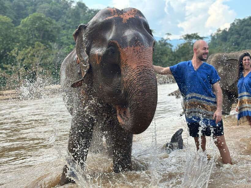 Chiang Mai: Elephant Sanctuary, Long Neck & Sticky Waterfall - Buatong Sticky Waterfall: Climbing Limestone and Cooling Off