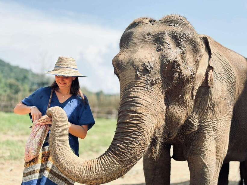 Chiang Mai: Elephant Sanctuary, Long Neck & Sticky Waterfall - Who Should Book This Chiang Mai Day Trip, and Who Might Skip It