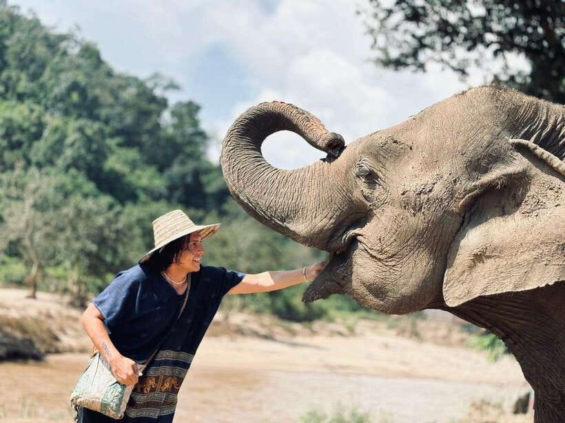 Chiang Mai: Elephant Sanctuary, Long Neck & Sticky Waterfall - Elephant Sanctuary Time: Herbal Treats, Feeding, and River Bath