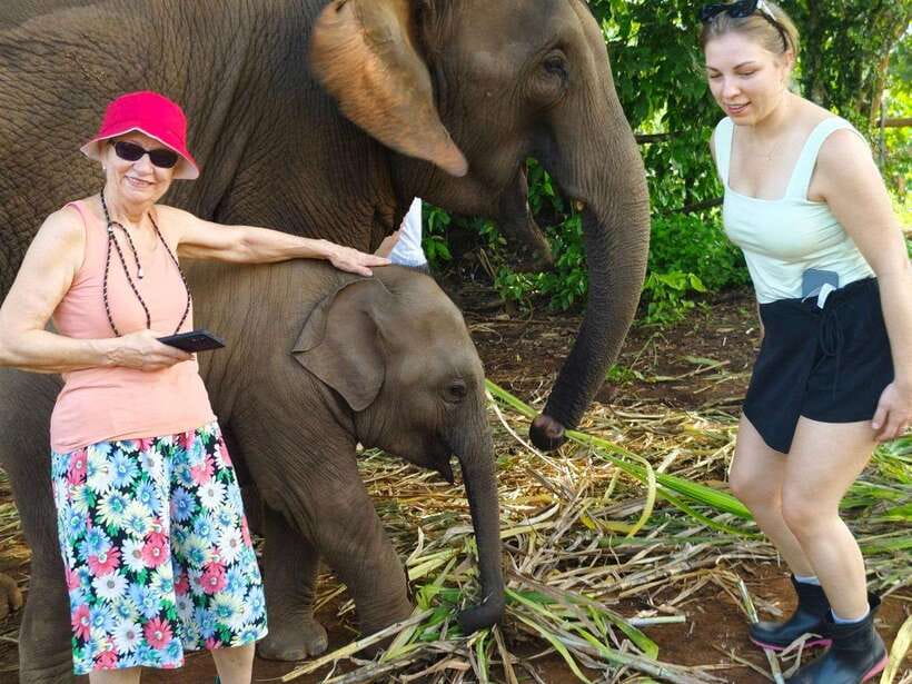 Chiang Mai: Elephant Sanctuary, Monk Trail & Doi Suthep Tour - A full-day Chiang Mai plan that mixes elephants, temples, and forest calm