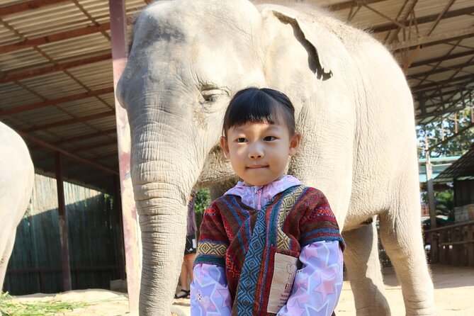 Chiang Mai Elephant Sanctuary Small Group Ethical Tour - Morning or Afternoon: How to Pick Your 6:30 to 17:30 Day