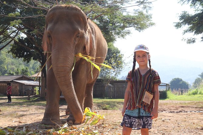 Chiang Mai Elephant Sanctuary Small Group Ethical Tour - What Happens During the Feeding and Photo Moments
