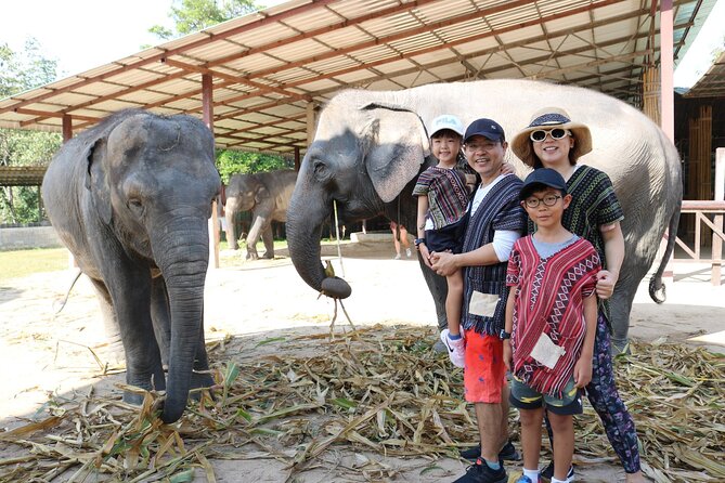 Chiang Mai Elephant Sanctuary Small Group Ethical Tour - Gear, Clean-Up, and Comfort on Jungle Ground