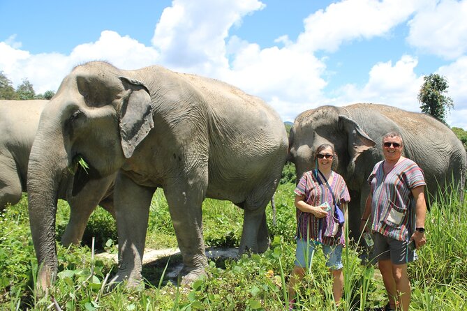 Chiang Mai Elephant Sanctuary Small Group Ethical Tour - Price and Value at Around $90