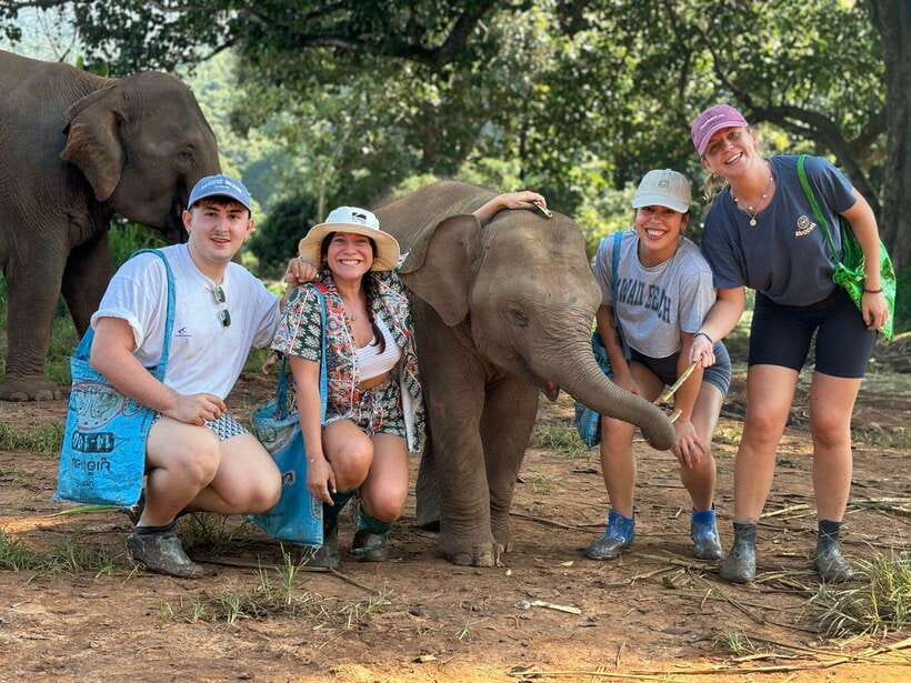 Chiang Mai: Elephant Sanctuary, Waterfall & Bamboo Rafting - Why this Chiang Mai elephant sanctuary day works so well