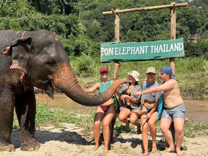 Chiang Mai: Elephant Sanctuary, Waterfall & Bamboo Rafting - Mae Wang Waterfalls: the cool break that sets the tone