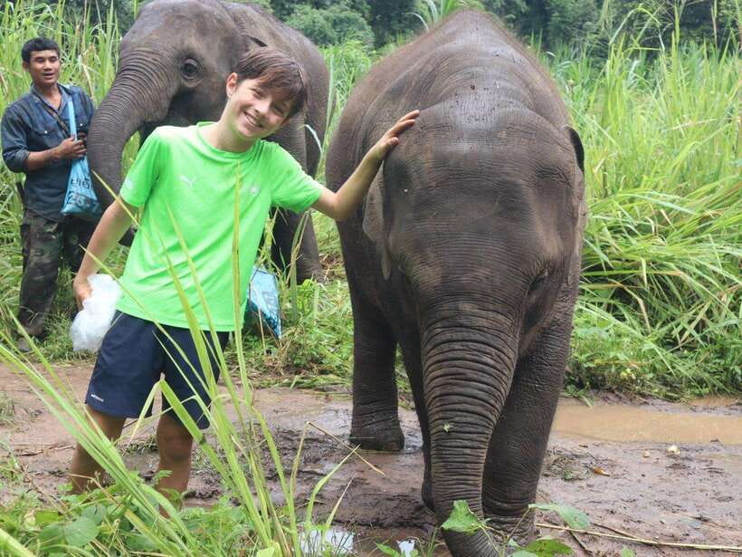 Chiang Mai: Elephant Sanctuary, Waterfall & Bamboo Rafting - Walking trails with elephants: what you should pay attention to