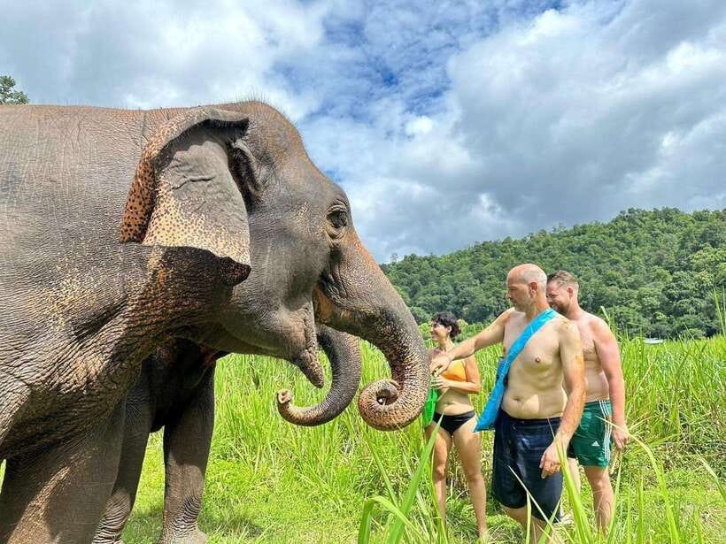 Chiang Mai: Elephant Sanctuary, Waterfall & Bamboo Rafting - What makes this tour feel ethical in the real world