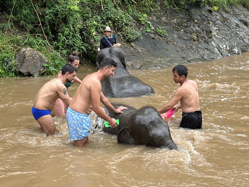 Chiang Mai: Elephant Sanctuary & Waterfall Group Tour - What the Group Day Feels Like (And Who Might Love It Most)