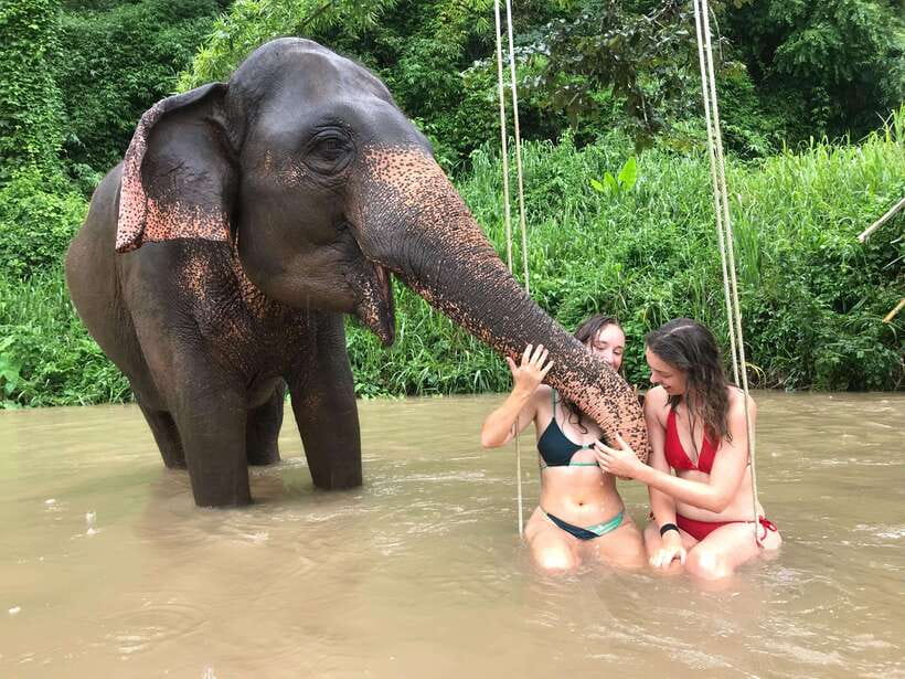 Chiang Mai: Elephant Sanctuary & Waterfall Group Tour - Pon Elephant Thailand: What You Learn Before You Meet the Elephants