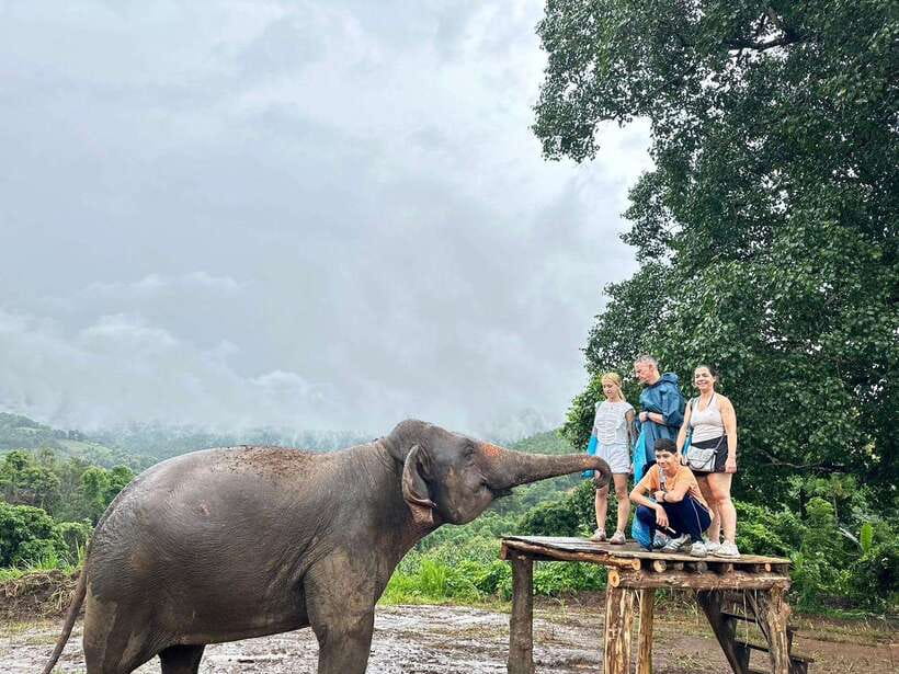 Chiang Mai: Elephant Sanctuary & Waterfall Group Tour - Lunch in the Jungle: Thai Comfort, Fruits, and Desserts