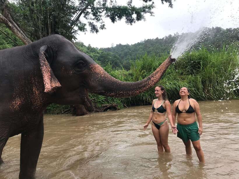 Chiang Mai: Elephant Sanctuary & Waterfall Group Tour - Price and Value: Why $50 Can Actually Make Sense