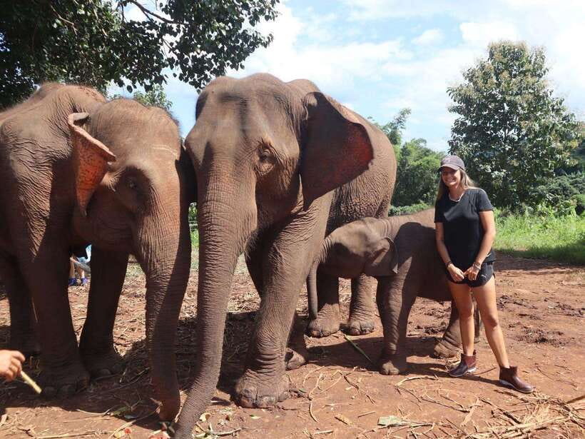 Chiang Mai: Elephant Sanctuary & Waterfall Group Tour - Getting There From Chiang Mai City: Long, Comfortable, and Worth It