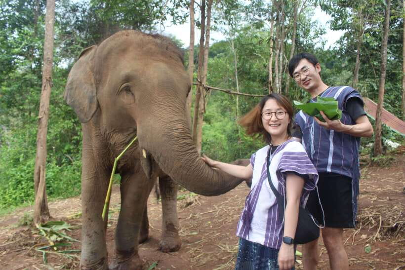 CHIANG MAI ELEPHANT VILLAGE SANCTUARY JUNGLE ADVENTURE - From Hotel Pickup to Jungle Road Ahead