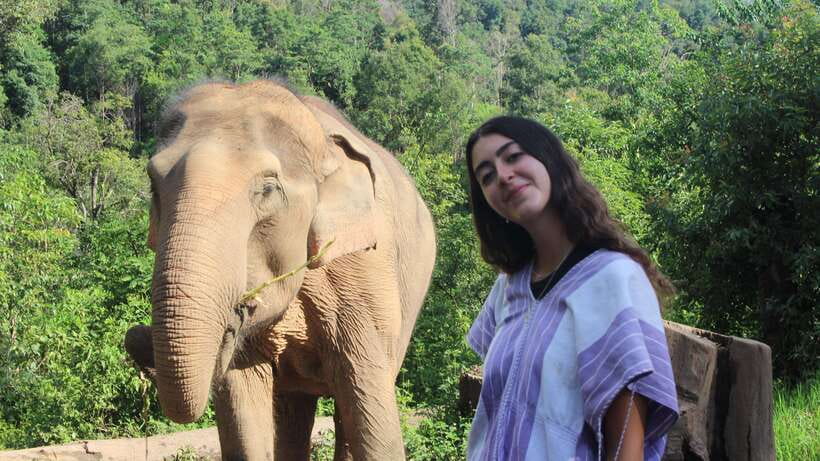 CHIANG MAI ELEPHANT VILLAGE SANCTUARY JUNGLE ADVENTURE - Price and Value: Does $48 Add Up?