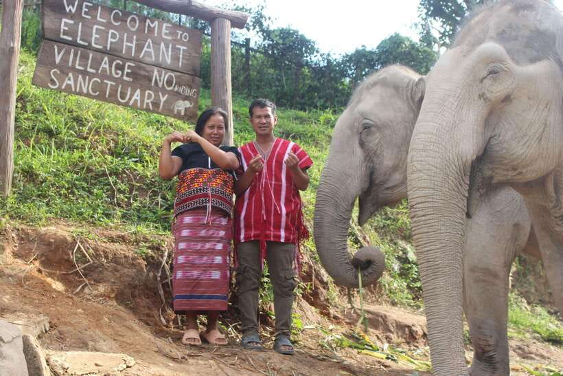 CHIANG MAI ELEPHANT VILLAGE SANCTUARY JUNGLE ADVENTURE - Market Stop and Scenic Views You Can Actually Enjoy