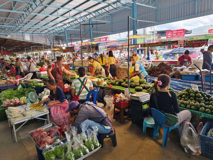 Chiang Mai: Elephants, Sticky Waterfalls, Market and Temple - Price and value: a packed full day for $70