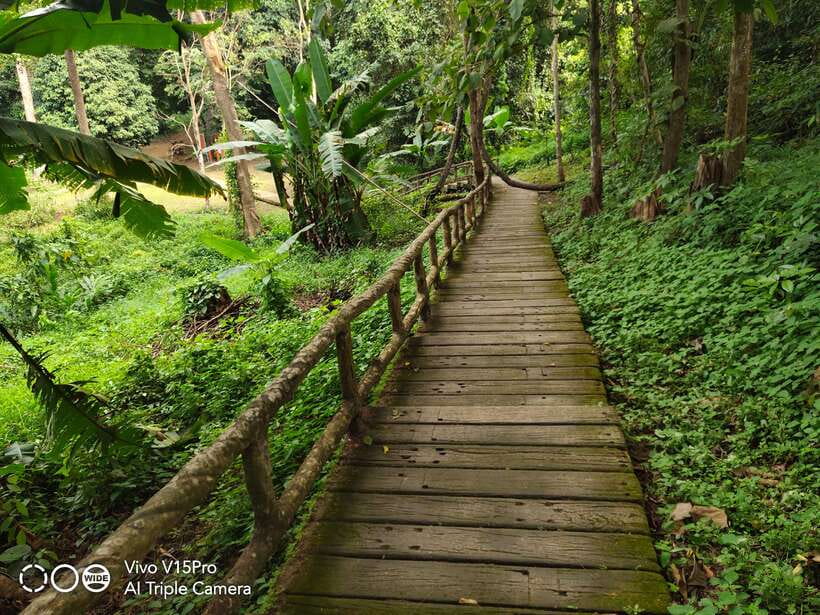 Chiang Mai: Elephants, Sticky Waterfalls, Market and Temple - The countryside drive between stops: rice fields and real-world Chiang Mai