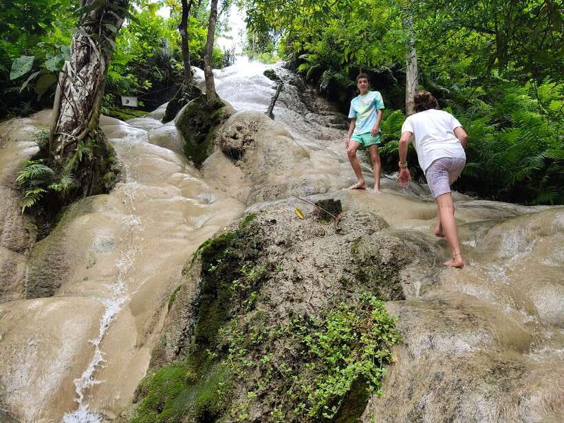 Chiang Mai: Elephants, Sticky Waterfalls, Market and Temple - Lunch at a local spot: fuel for a wet day