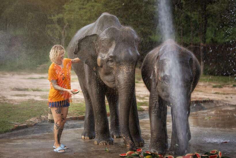 Chiang Mai: Ethical Elephant Feeding & Shower Program - Elephant Jungle Sanctuary Chiang Mai: ethical elephant feeding, explained in plain terms
