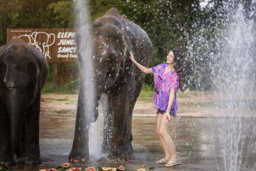 Chiang Mai: Ethical Elephant Feeding & Shower Program - Feeding time from the platform: how it feels, what you learn