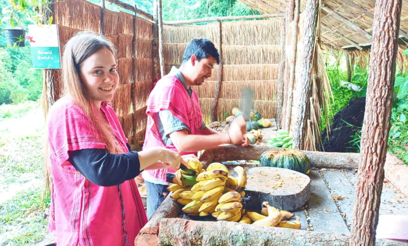 Chiang Mai: Ethical Half Day Elephant Sanctuary & Waterfall - Key highlights worth planning around