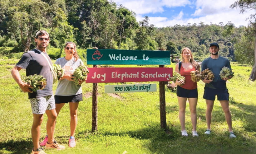 Chiang Mai: Ethical Half Day Elephant Sanctuary & Waterfall - Feeding elephants and learning their routines up close