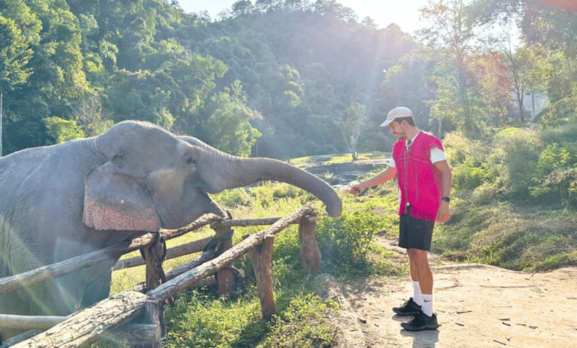 Chiang Mai: Ethical Half Day Elephant Sanctuary & Waterfall - Lunch that keeps you fueled, then a Thai craft you can use