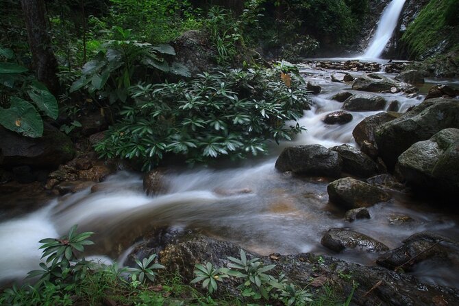 Chiang Mai Exotic Excursion Unseen Miracle of Faith To Pupadang Lampang Temple - Chae Son Hot Spring Onsen: Multiple Pond Temperatures and a Boiled-Egg Stop