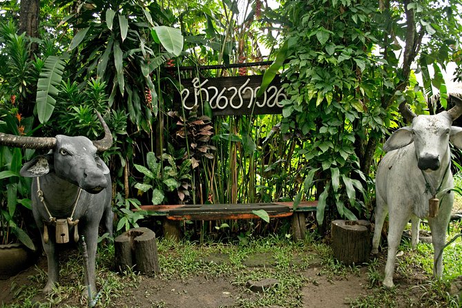 Chiang Mai Farm Life & Khao Soy Tasting on a Half-Day Boat Tour - The core idea, and why it works in Chiang Mai