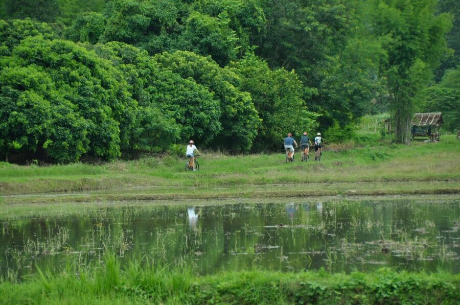 Chiang Mai Fields of Gold Cycling Tour - Key things I’d highlight before you book
