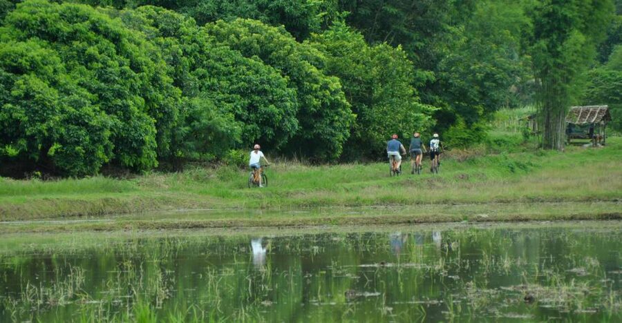 Chiang Mai Fields of Gold Cycling Tour - Getting on the Right Bike: Gear, Helmet Options, and Comfort