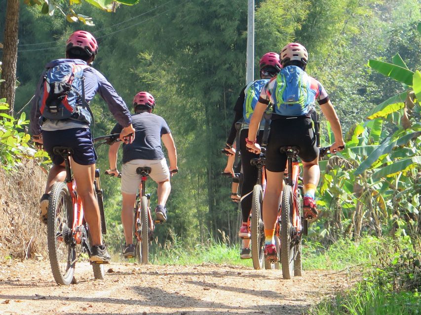 Chiang Mai Fields of Gold Cycling Tour - Price and Value: What $64 Covers (and Why It’s Not Just a Rental)