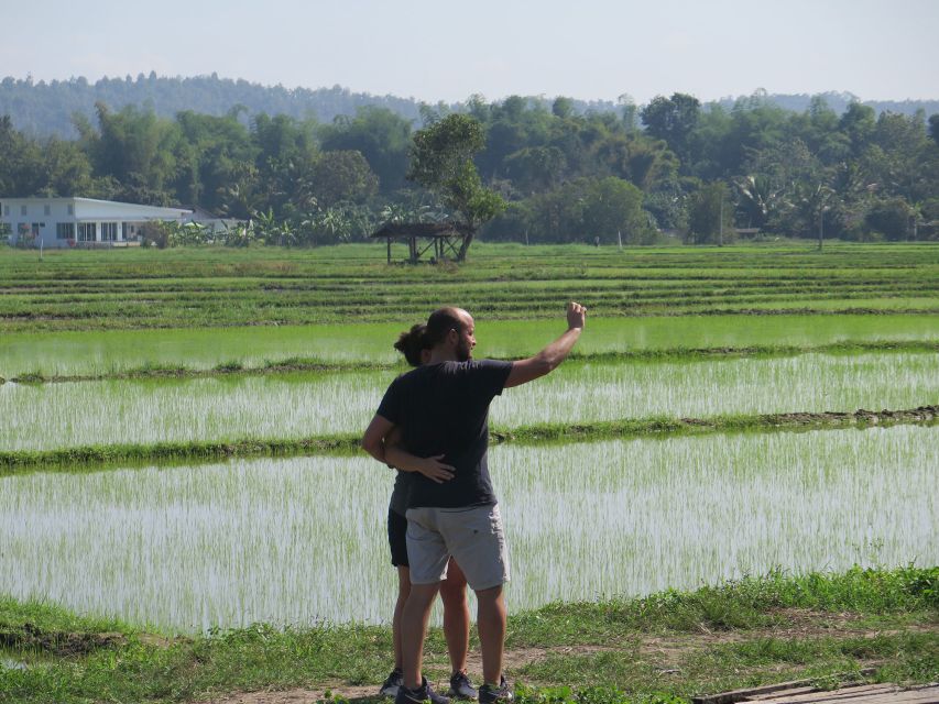 Chiang Mai Fields of Gold Cycling Tour - The Route: 36 km, 289 m Elevation, and What That Means for Your Legs
