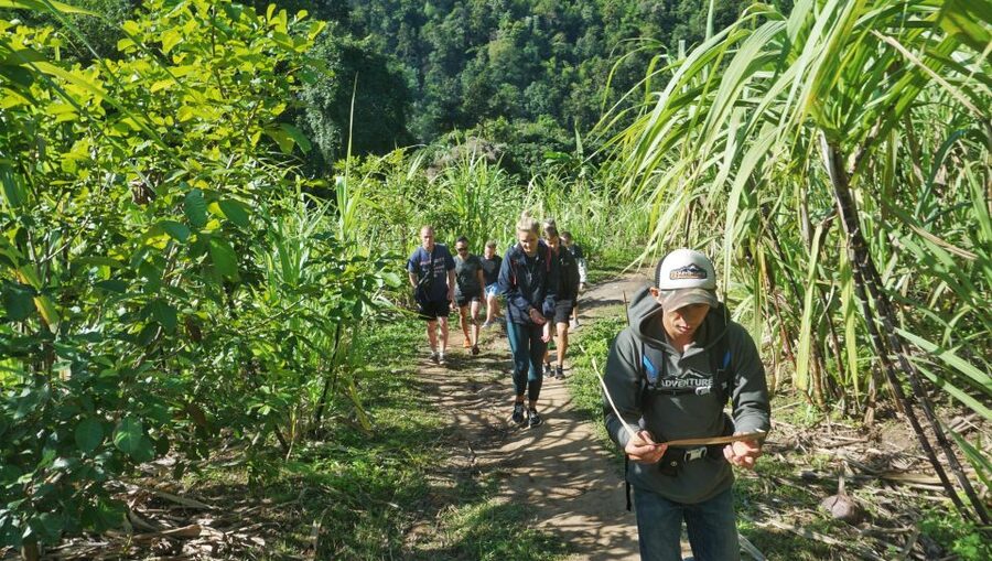 Chiang Mai: Guided Jungle and Waterfall Trek with Transfer - The 10-Meter Waterfall: Swim, Wipe Off, and Relax