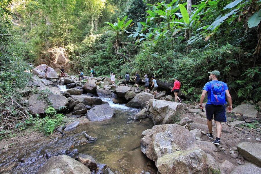 Chiang Mai: Guided Jungle and Waterfall Trek with Transfer - Return Trek and the “Same Path” Feel