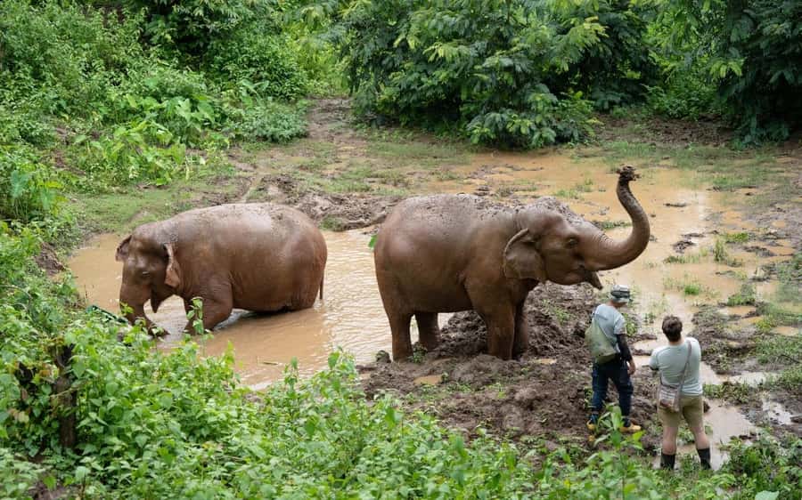Chiang Mai Half-Day Adventure: River Tubing & Waterfall - Price and value: what $62 per person really buys you